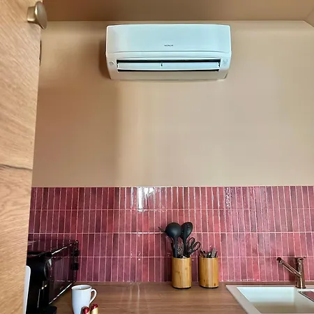 La Jouvence - à Thème, Avec Balcon Vue Saône Et Climatisés Appartement