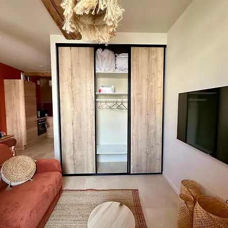 La Jouvence - à Thème, Avec Balcon Vue Saône Et Climatisés Appartement Saint-Laurent-sur-Saone