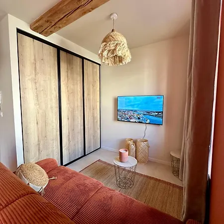 Appartement La Jouvence - à Thème, Avec Balcon Vue Saône Et Climatisés Saint-Laurent-sur-Saone