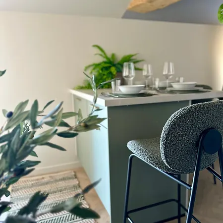 La Jouvence - à Thème, Avec Balcon Vue Saône Et Climatisés * Saint-Laurent-sur-Saone