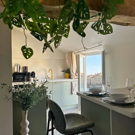Appartement La Jouvence - à Thème, Avec Balcon Vue Saône Et Climatisés *