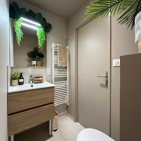 Appartement La Jouvence - à Thème, Avec Balcon Vue Saône Et Climatisés *