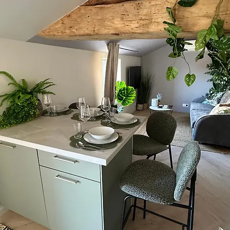 La Jouvence - à Thème, Avec Balcon Vue Saône Et Climatisés Appartement Saint-Laurent-sur-Saone