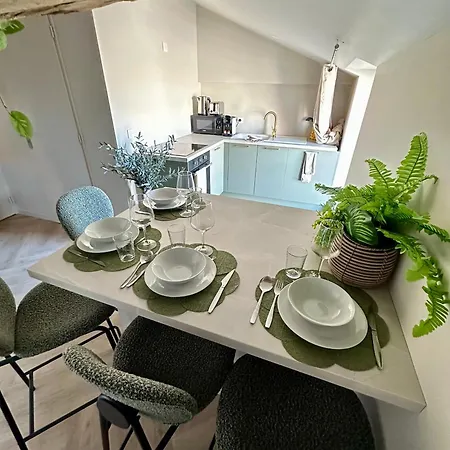 La Jouvence - à Thème, Avec Balcon Vue Saône Et Climatisés Appartement *