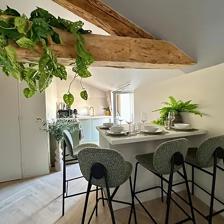La Jouvence - à Thème, Avec Balcon Vue Saône Et Climatisés